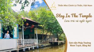 Stay In The Temple - Nghỉ Ngơi Cuối Tuần